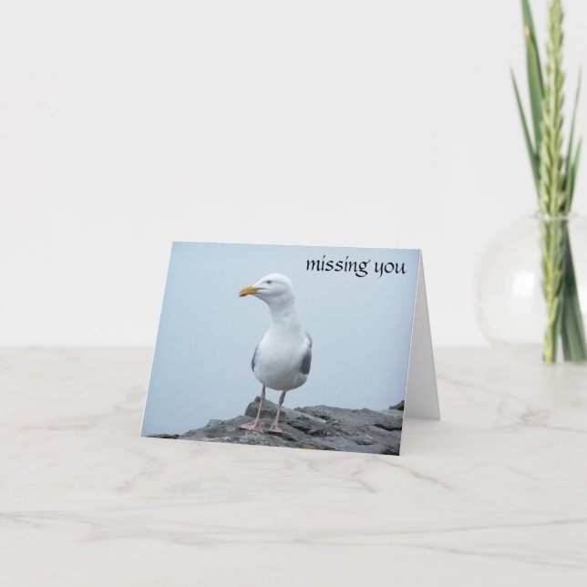 Seagull Card (Front)