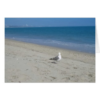 Seagull card