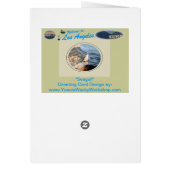 Seagull Cards (Back)