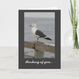 Seagull: Carmel-by-the-Sea Card