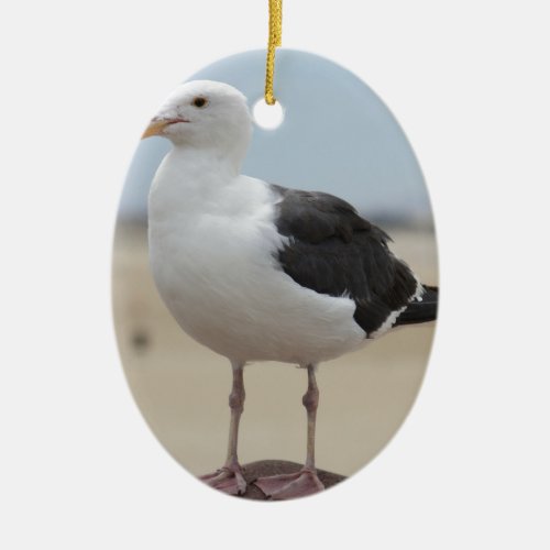 Seagull Ceramic Ornament
