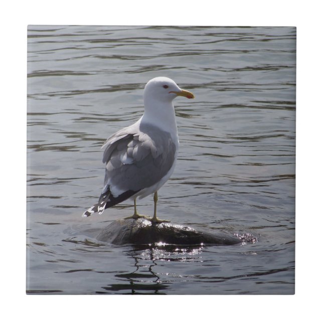 Seagull Ceramic Tile (Front)