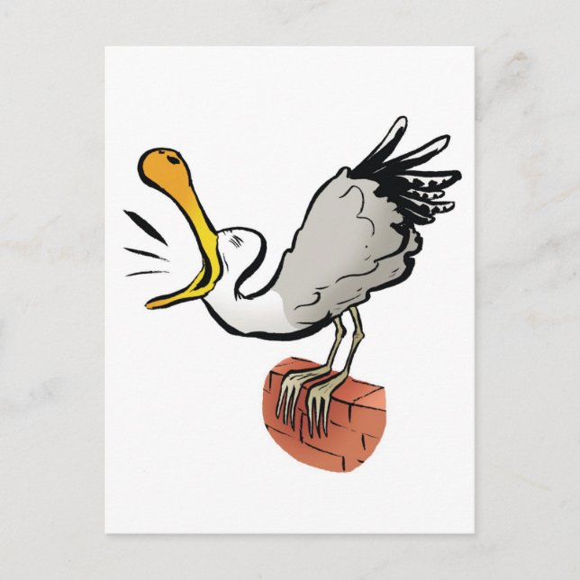 Seagull chatting postcard (Front)