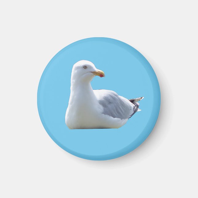 Seagull Circle Photo Magnet (Front)