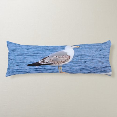 Seagull Constanta Romania – Black Sea Photography Body Pillow