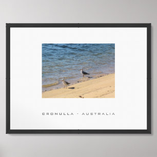 Seagull Cronulla Sydney Australia Travel Framed Art