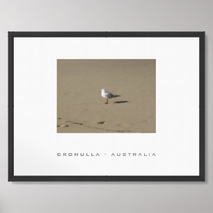 Seagull Cronulla Sydney Australia Travel Framed Art