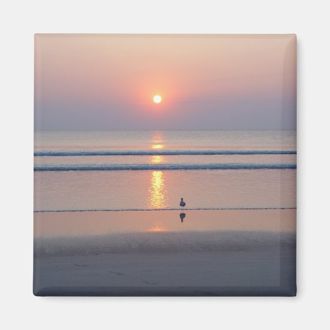 Seagull Daytona Beach FL Ocean Sunrise Magnet (Front)