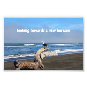 Seagull facing the sea photo print