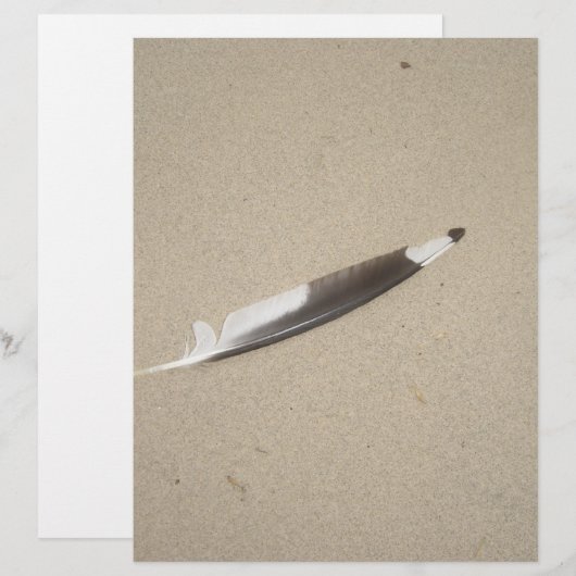 Seagull Feather (Front/Back)