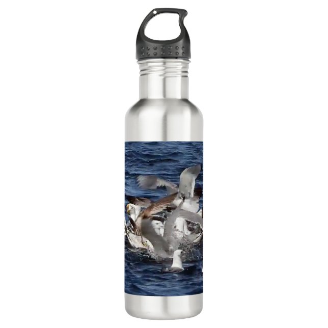 Seagull Feeding Frenzy  Stainless Steel Water Bottle (Front)
