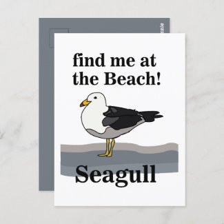 Seagull Find Me At The Beach Funny Bird