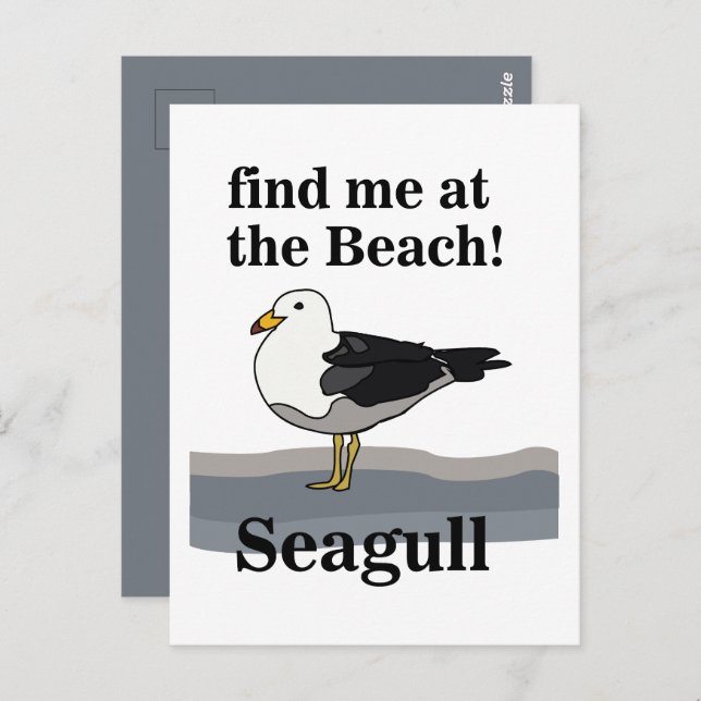 Seagull Find Me At The Beach Funny Bird Postcard (Front/Back)