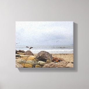 Seagull Flock Canvas Print