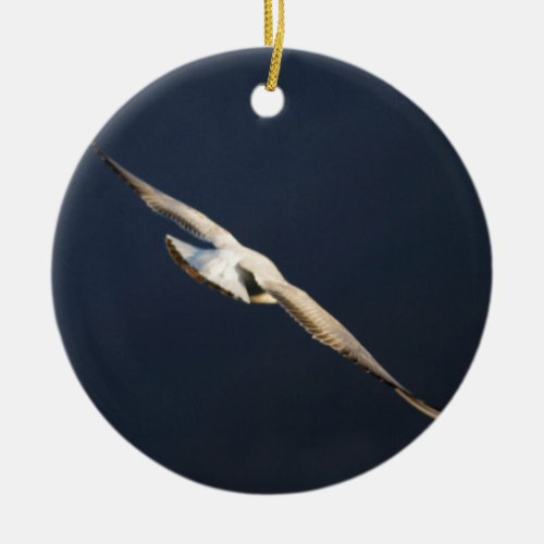 seagull flying on lake christmas ornament