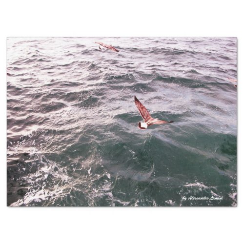 SEAGULL FLYING OVER THE SEA WAVES TISSUE PAPER