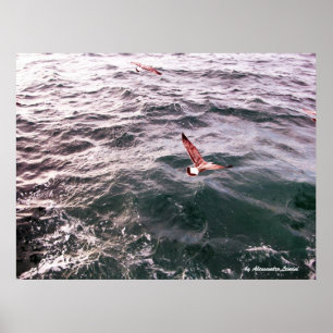 SEAGULL FLYING OVER THE WAVES POSTER