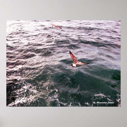 SEAGULL FLYING OVER THE WAVES POSTER