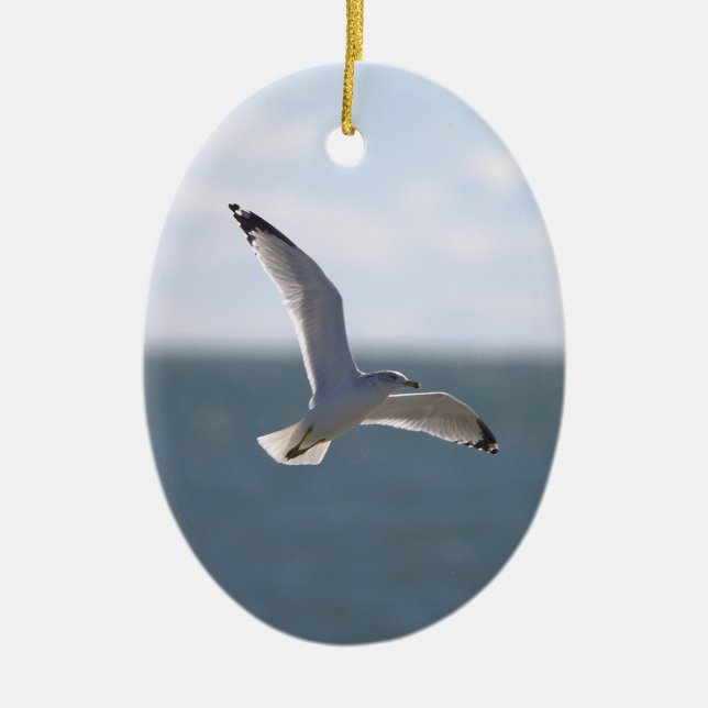Seagull Flying Photo Ornament  (Front)