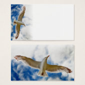 Seagull gliding in flight close up with blue skies (Front & Back)