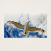 Seagull gliding in flight close up with blue skies (Back)