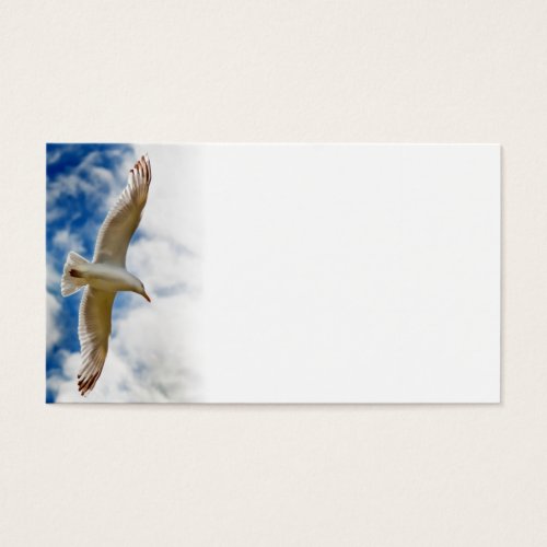 Seagull gliding in flight close up with blue skies business card templates