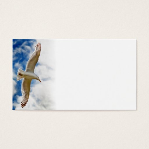 Customizable Seagull gliding in flight close up with blue skies business card templates