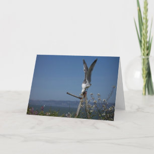 Seagull Greeting Card