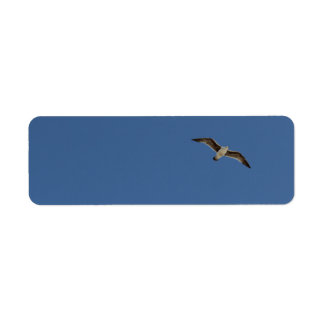 Seagull in flight label