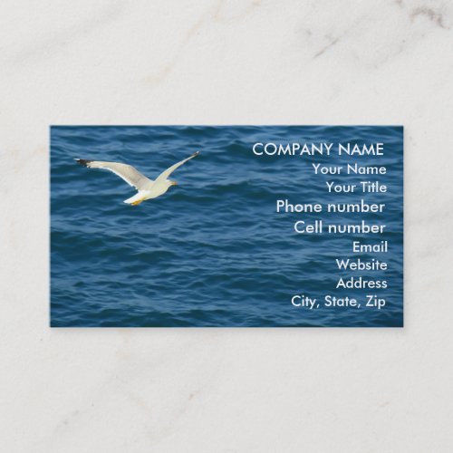 Seagull in Flight over Water Business Card