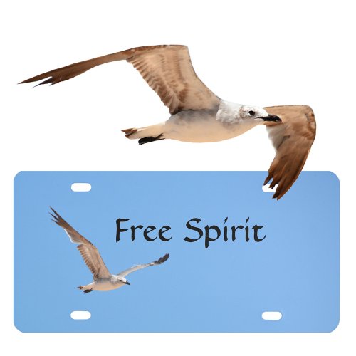 Seagull in Flight Personalized License Plate