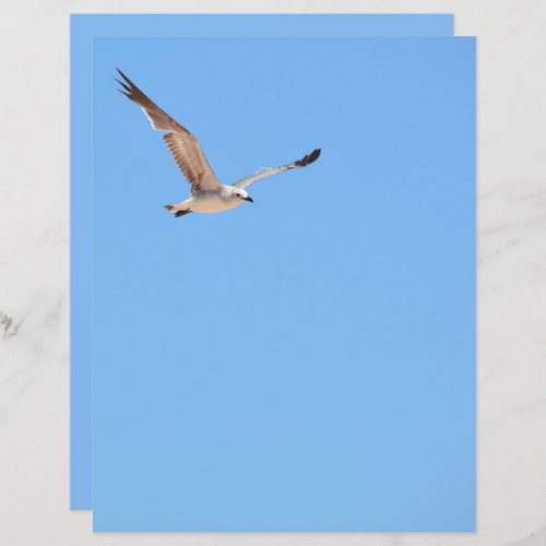 Seagull in Flight Sky Blue Scrapbook Paper sheet