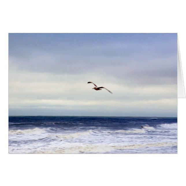 Seagull In Purple Cards (Front Horizontal)