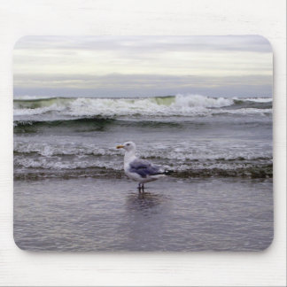 Seagull in the Ocean Mousepad
