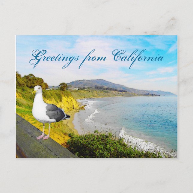 Seagull Island Postcard (Front)