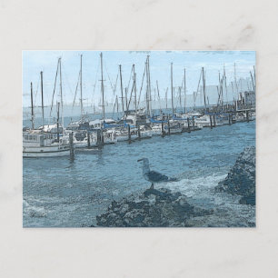 Seagull Keeping Watch Postcard