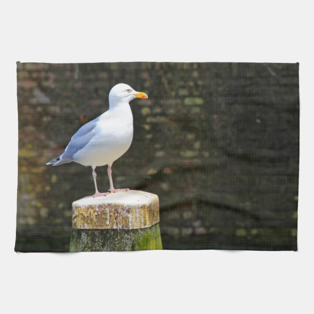 Seagull Kitchen Towel (Horizontal)