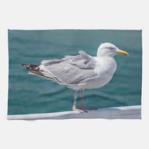 Seagull kitchen towel