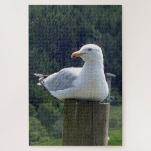 Seagull Laying Down Jigsaw Puzzle
