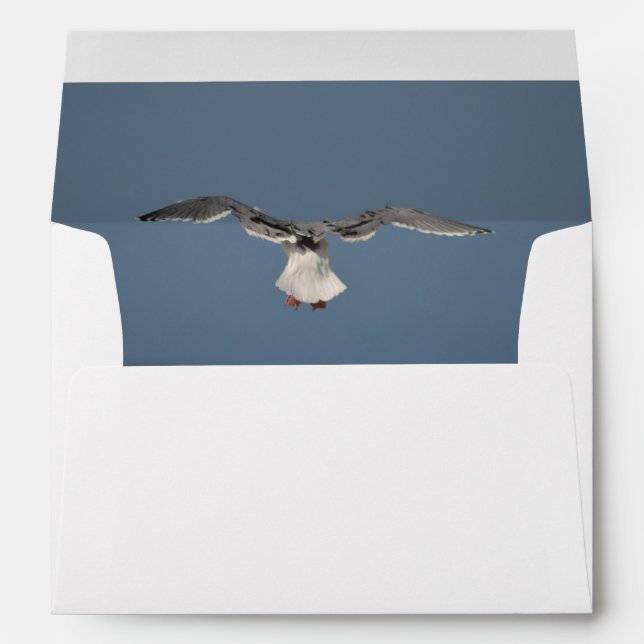Seagull Leaves Envelope (Back (Bottom))