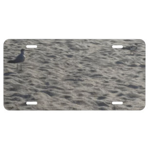 Seagull License Plate