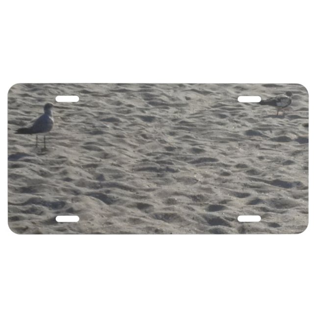 Seagull License Plate (Front)