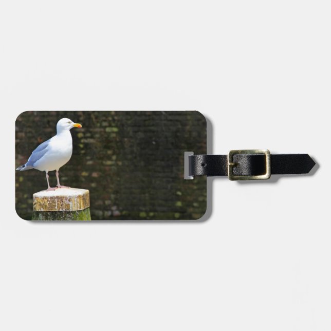 Seagull Luggage Tag (Front Horizontal)