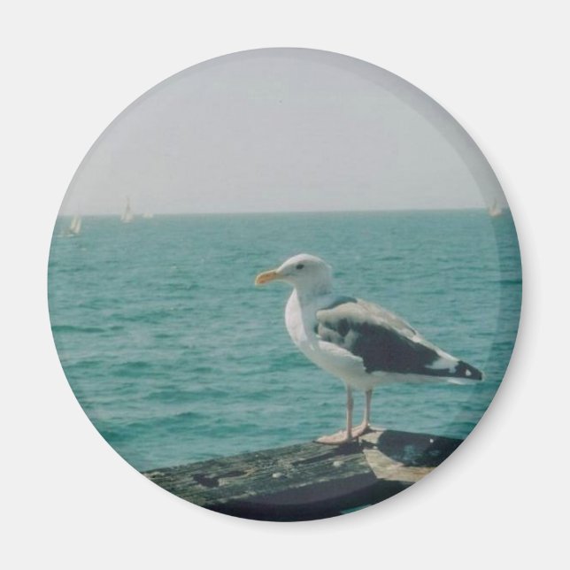 Seagull Magnet (Front)