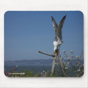 Seagull Mousepad