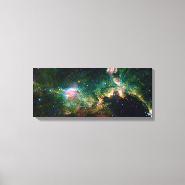 Seagull Nebula NASA Space Canvas Print (Front)