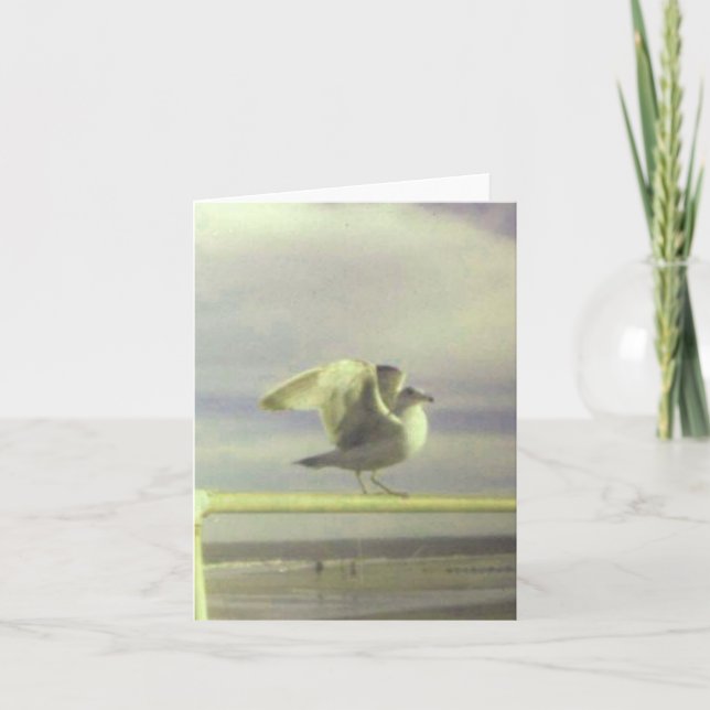 Seagull Note Card (Front)