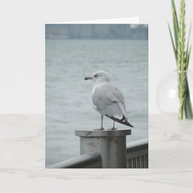 Seagull Note Card (Front)