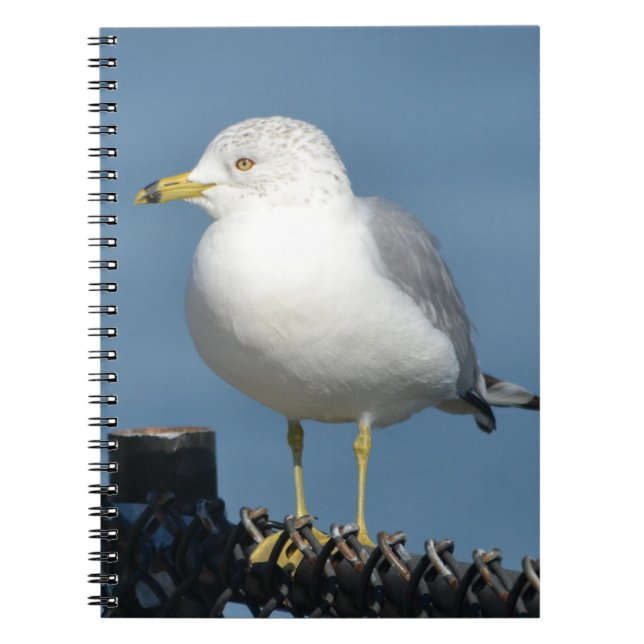 Seagull Notebook (Front)