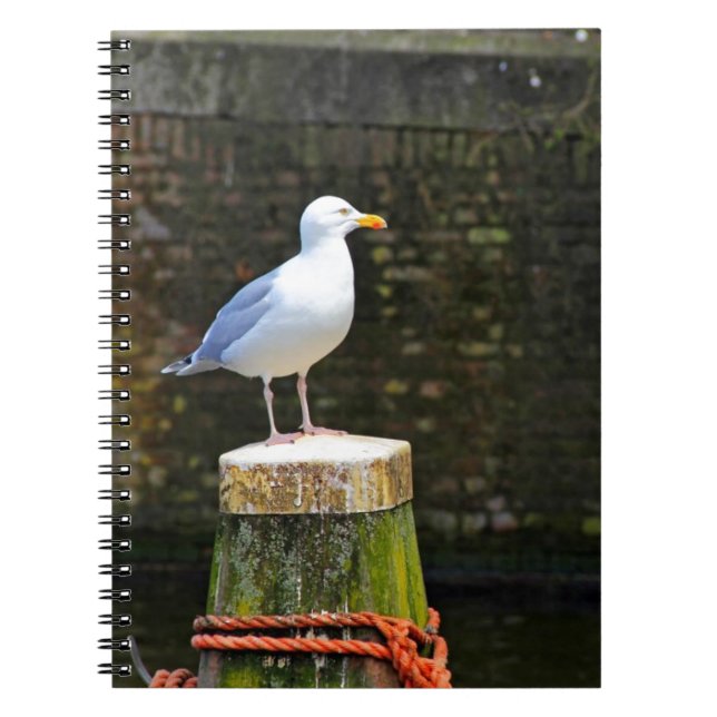 Seagull Notebook (Front)
